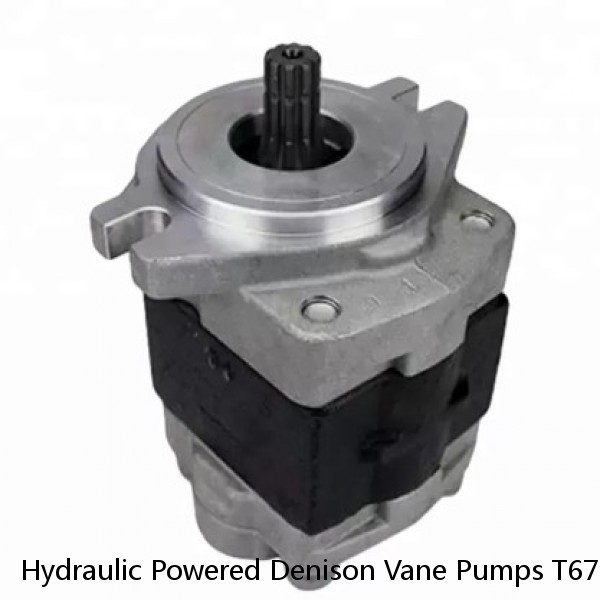 Hydraulic Powered Denison Vane Pumps T67B B09 For Rubber And Plastics Machinery #1 small image